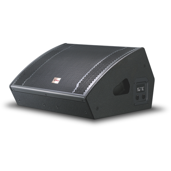 12‑Inch Professional Speaker